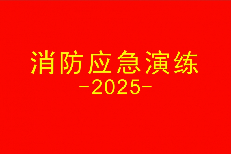 2025年消防应急演练